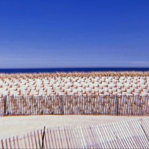 Meet your Posher, Sophia